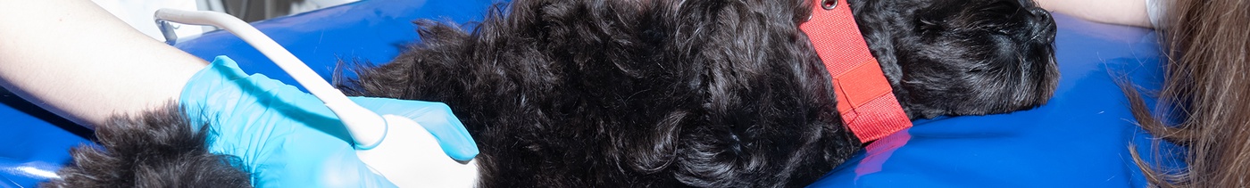 3e829217-373a-453e-8f27-84ac4a5aba8a-визуальная диагностика2.jpg